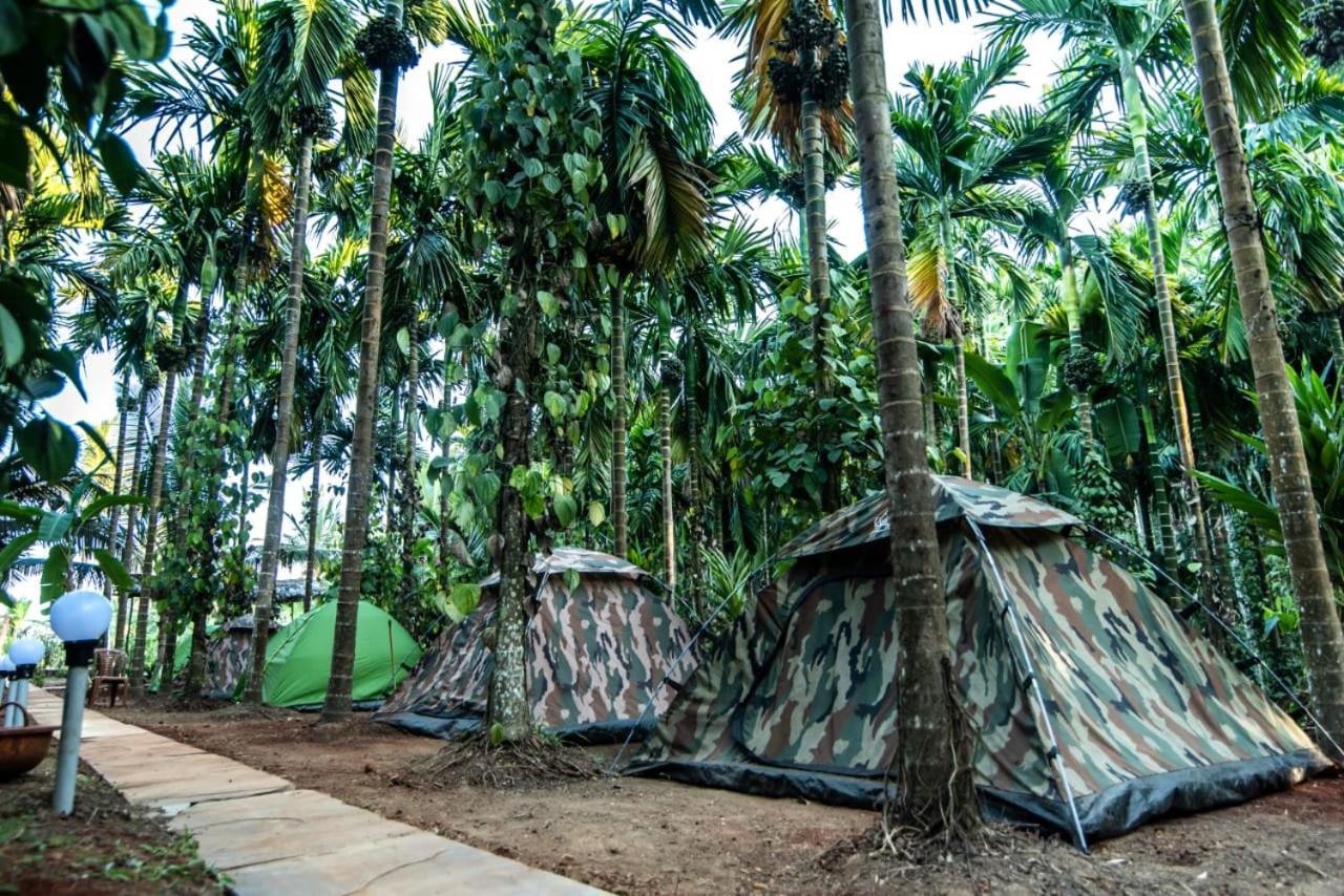 Dandeli Goldfinch Resort エクステリア 写真